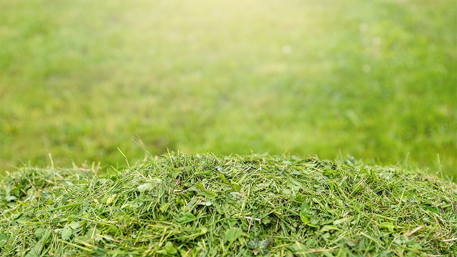 Mulching Mulching Grass