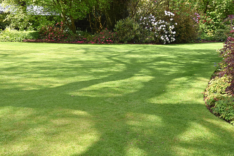 Garden Tidy Ups