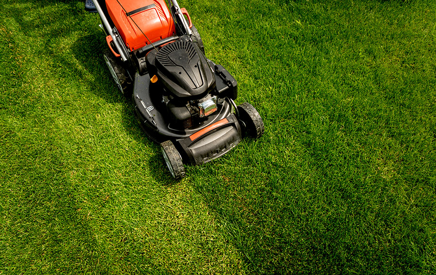 Lawn Mowing and Lawn Care