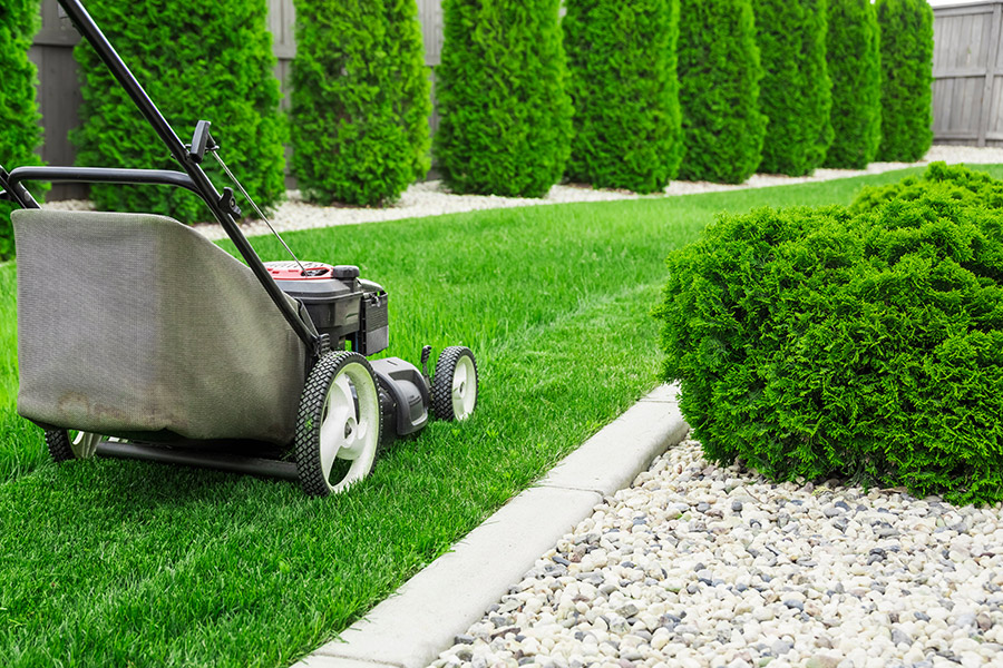 Lawn Mowing and Lawn Care